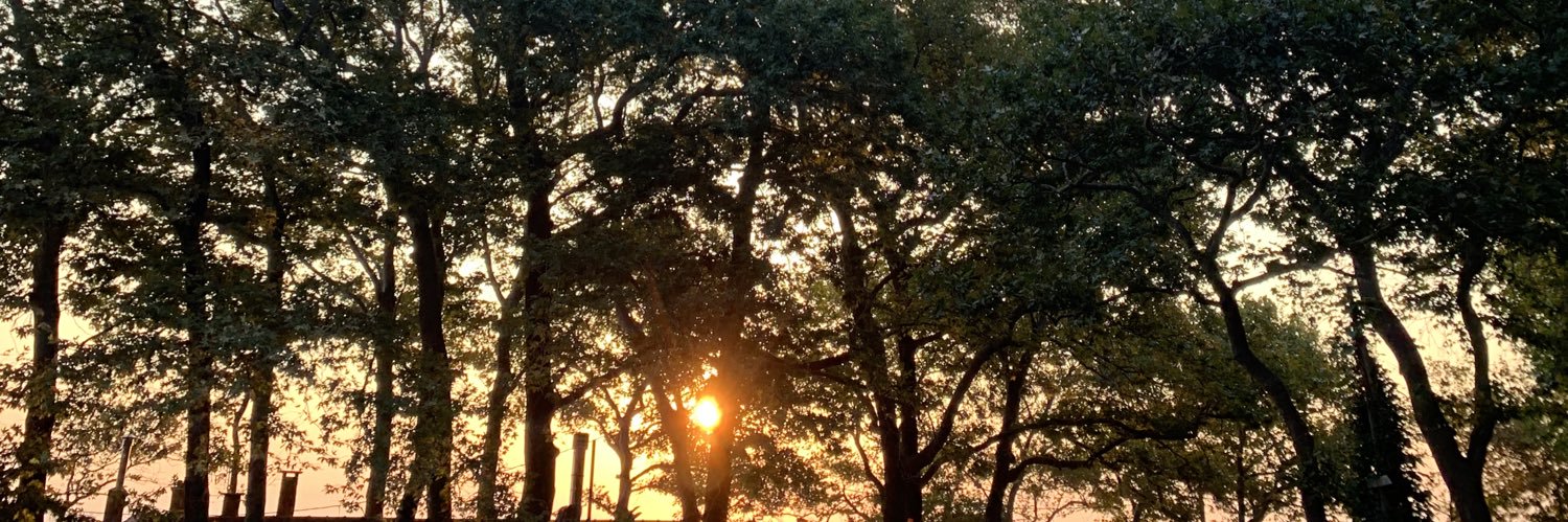 chasing_light_'s profile banner image