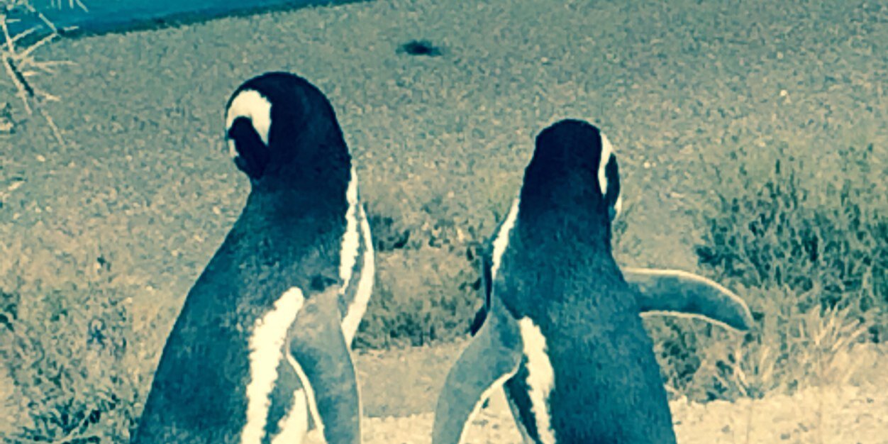 JoacoReverter's profile banner image