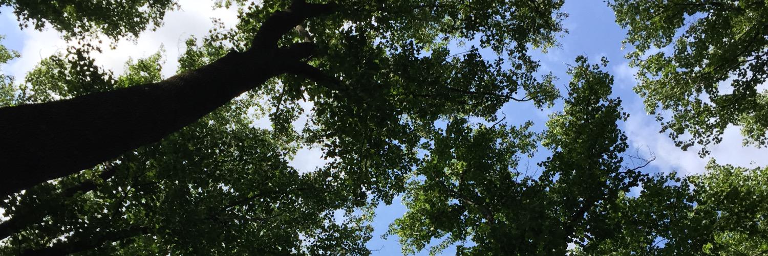 rsippp's profile banner image
