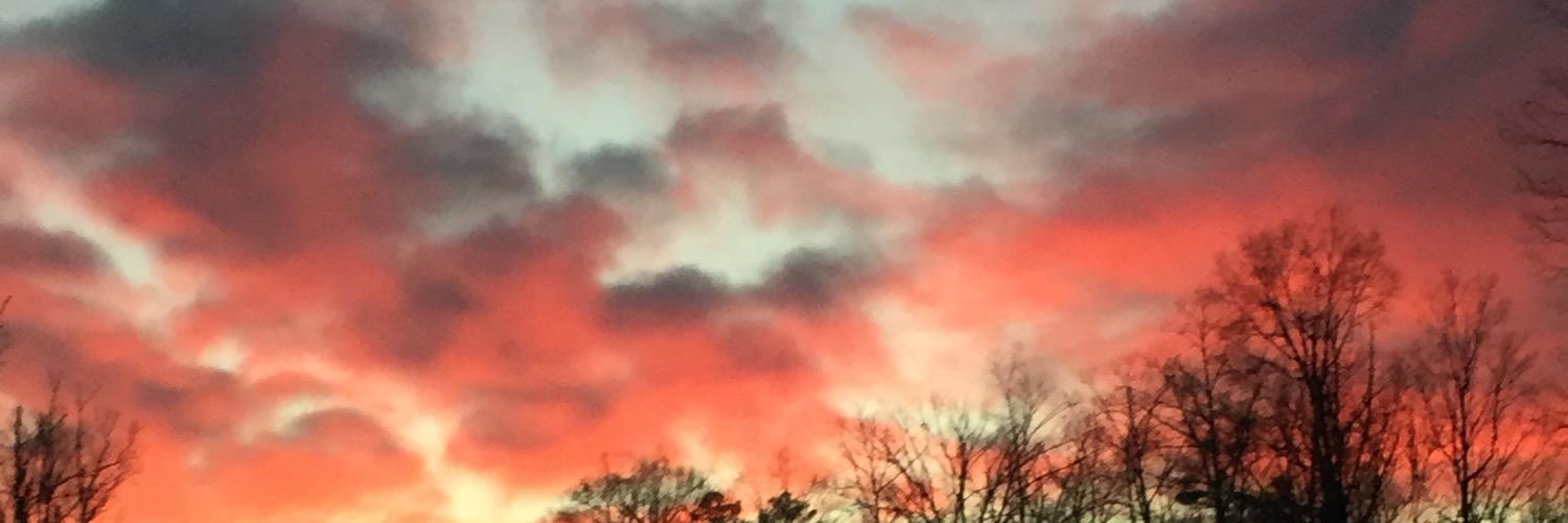 deedle6524's profile banner image