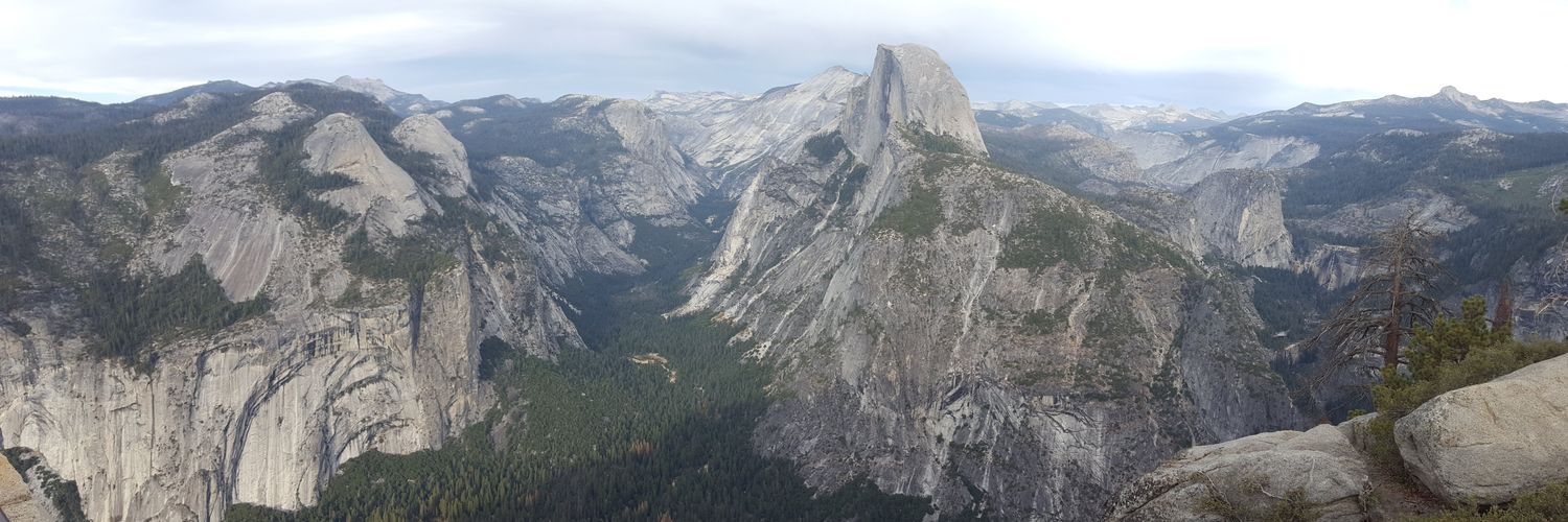 LiciaBean2020's profile banner image