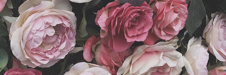 MtndsM's profile banner image