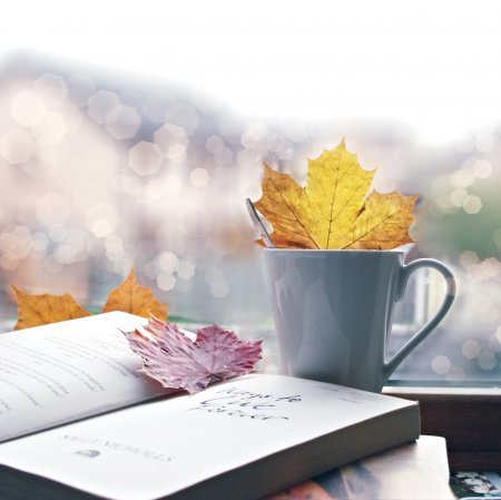 Mishel_Sammers's profile banner image
