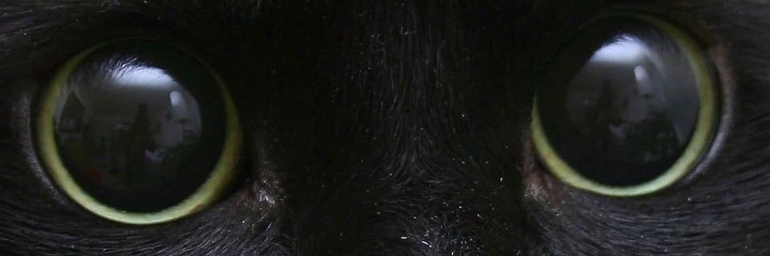 drunkjeanb's profile banner image