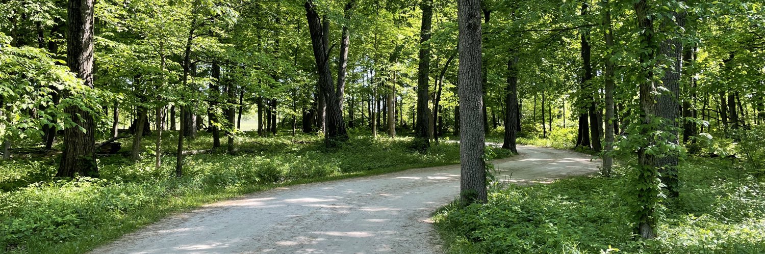 Michael Kantowski banner