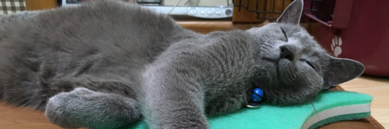 amn3cats's profile banner image