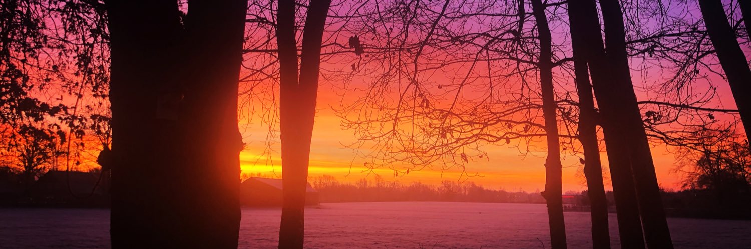 Esther Schmidt banner