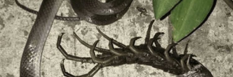 PerOhlin_'s profile banner image