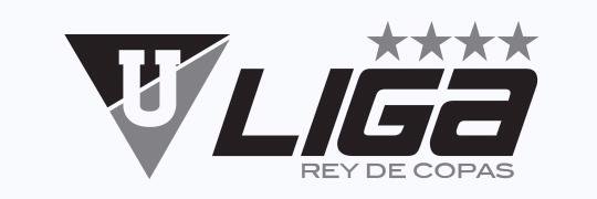 Liga_Tl's profile banner image