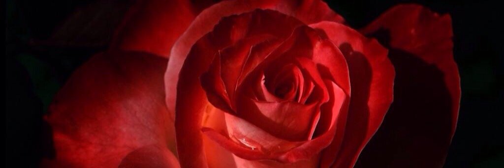 compassionate17's profile banner image