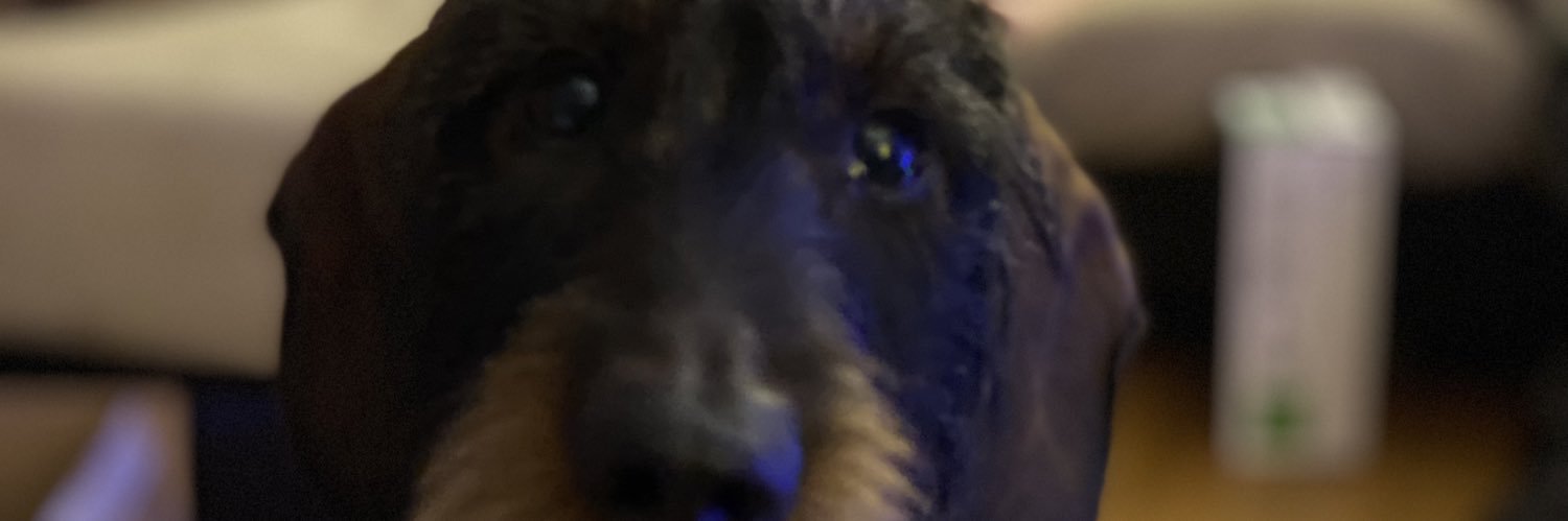 Igoscience's profile banner image
