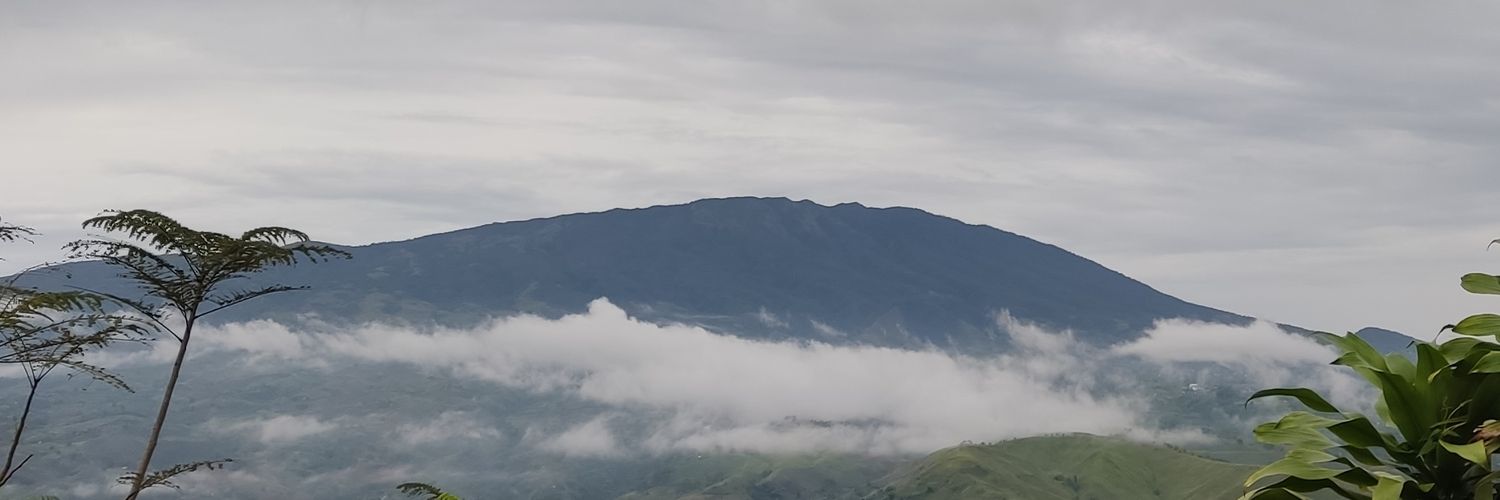 F banner