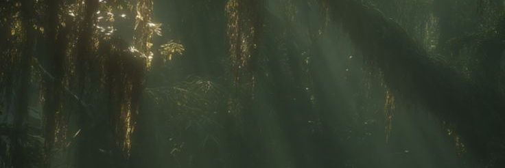 offgunlovs's profile banner image