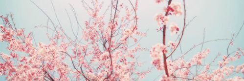 becksgoodfellow's profile banner image