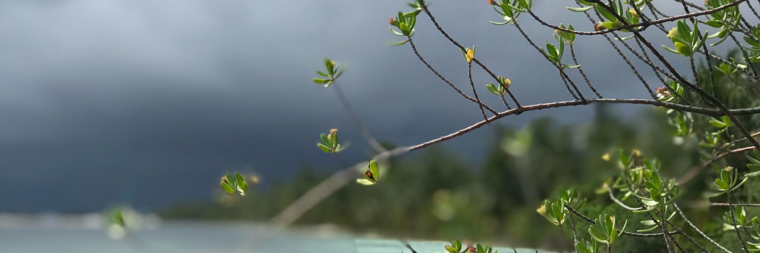 malamathi_mv's profile banner image