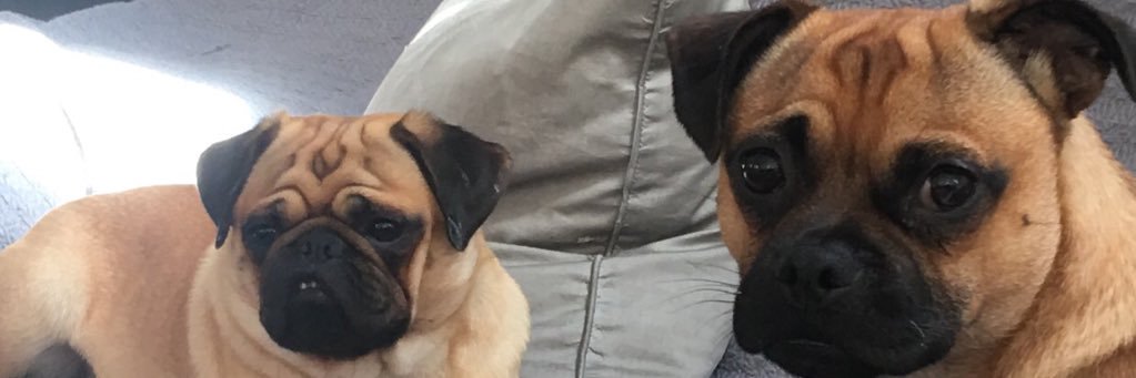 CoffeeBeann's profile banner image