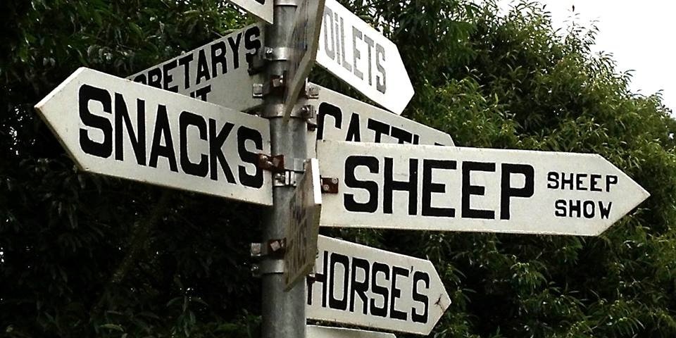 CanwellShow's profile banner image