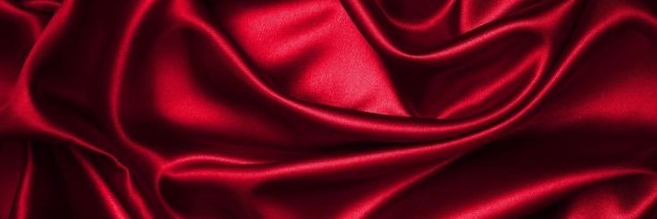 WhoIsNikkiDee's profile banner image