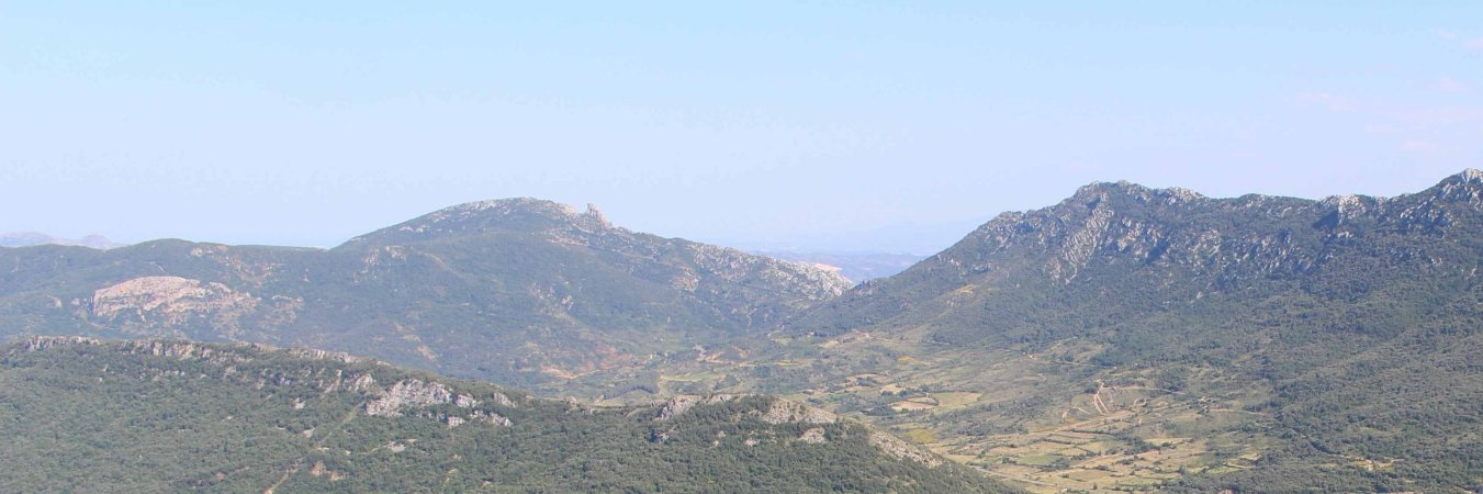 pan_duk's profile banner image