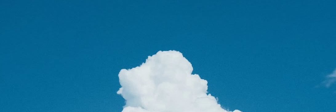 bellae banner