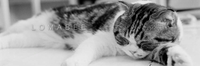 lomabee's profile banner image
