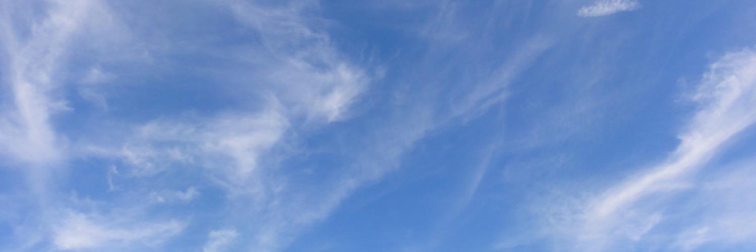 Elizabeth Laird banner