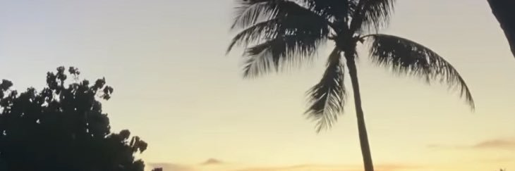 dear7221's profile banner image