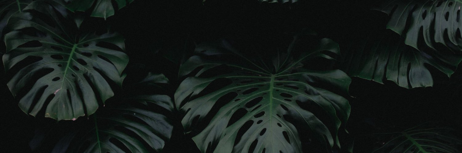 ErinASobie's profile banner image