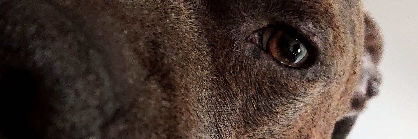 4MThib's profile banner image