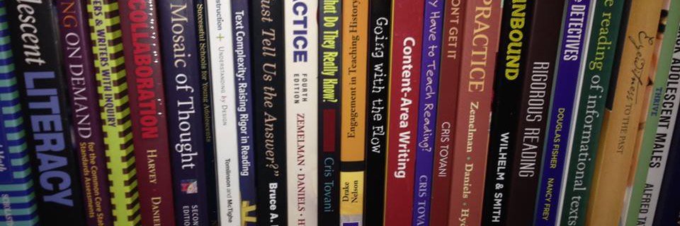 Secondary Reading League banner