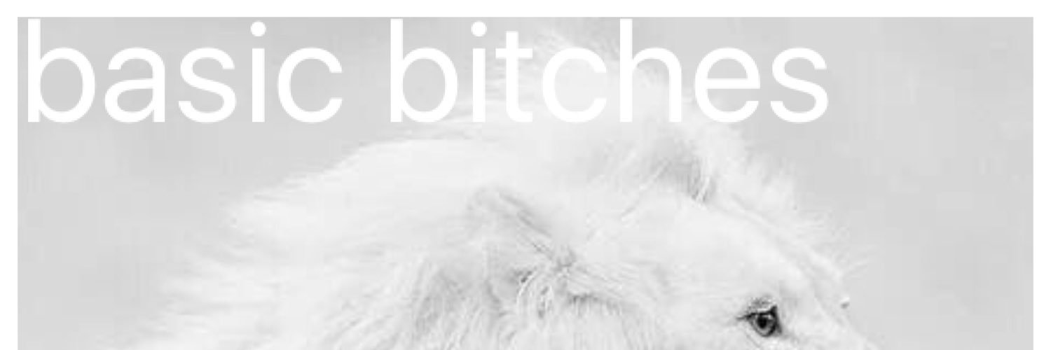 BasicBitchesUk's profile banner image