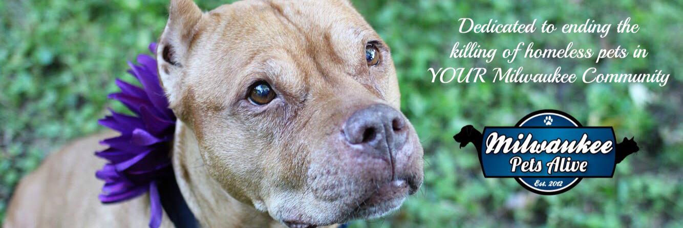 Mil_Pets_Alive's profile banner image