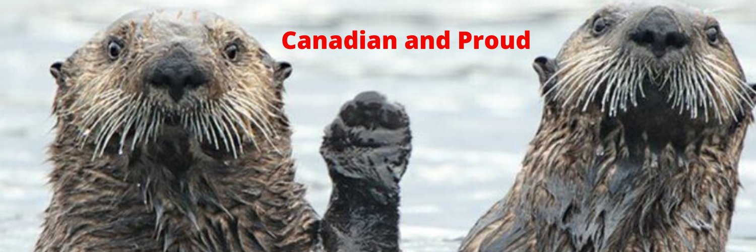 enz8888's profile banner image