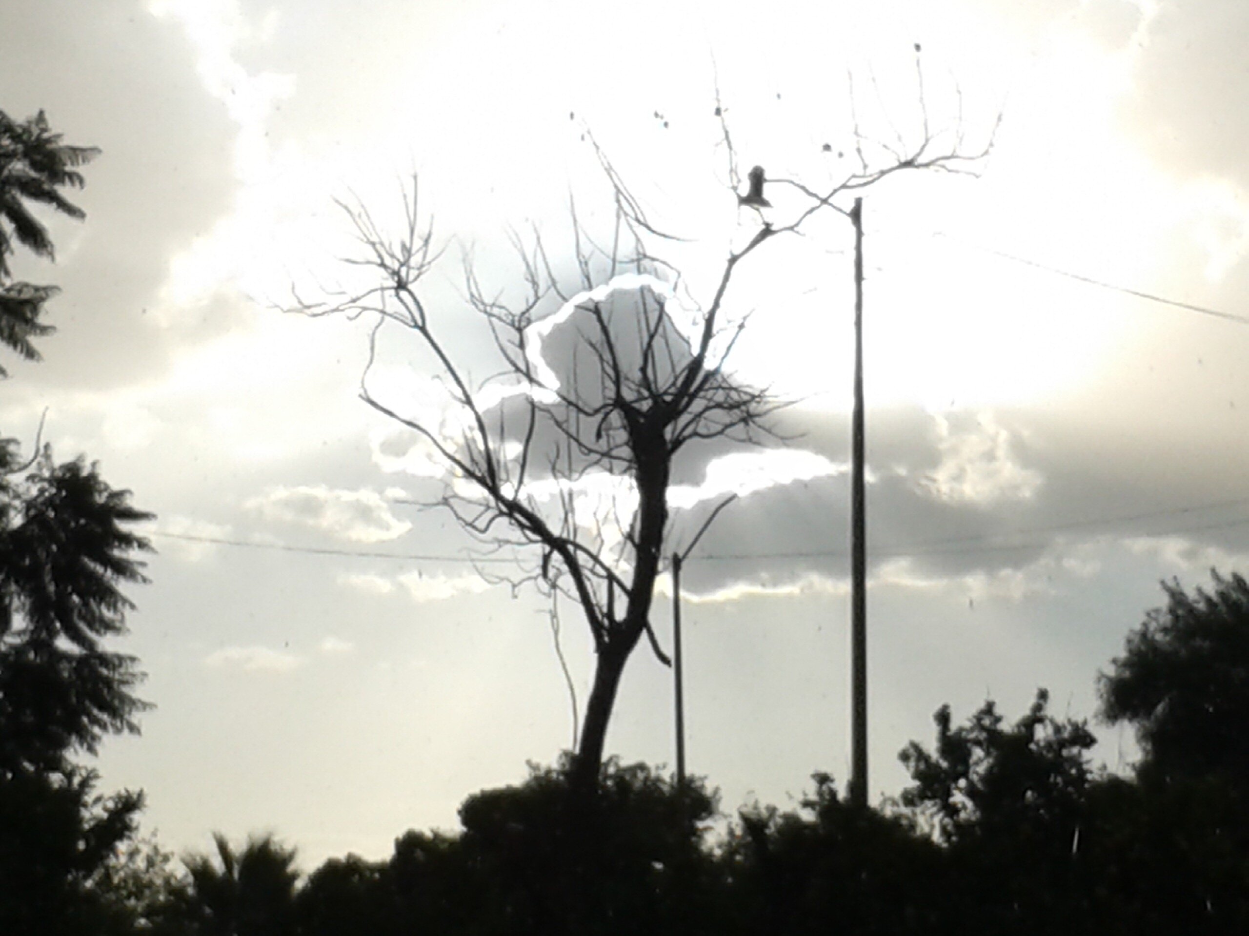 LRbrendaD's profile banner image