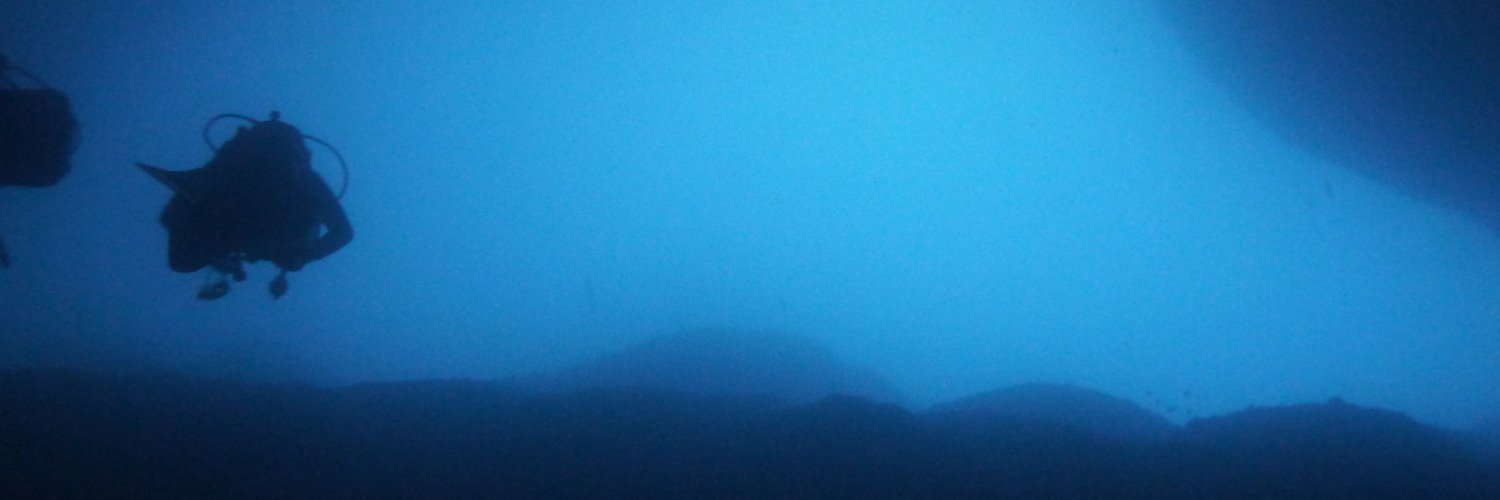 Steve Harding banner