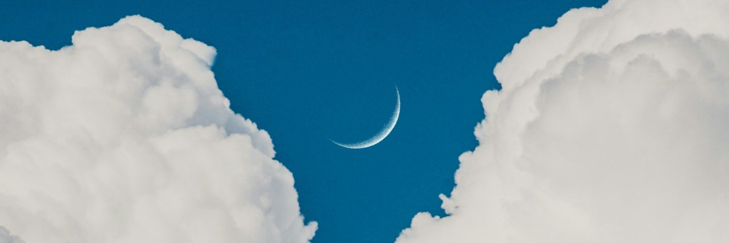 retarsian's profile banner image