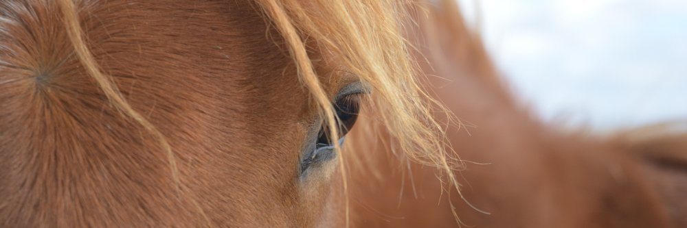 EmmanuelleGehin's profile banner image