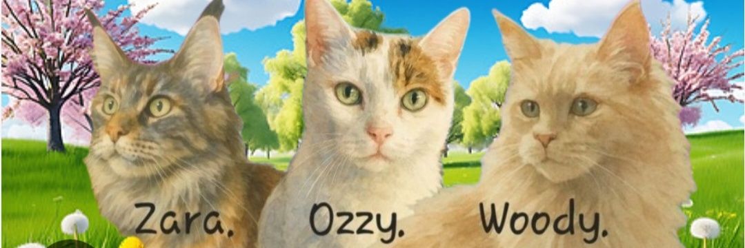 Sandra👩▪︎😺Ozzy 😺Zara 😺Woody banner