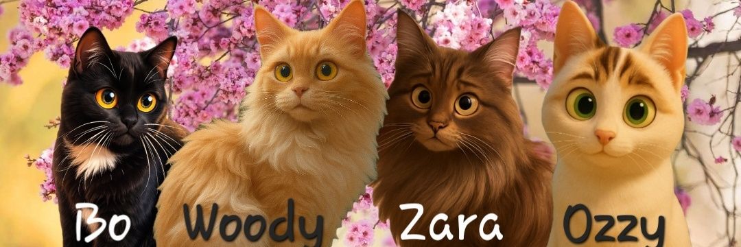 Sandra👩▪︎😺Ozzy 😺Zara 😺Woody 😺Bo banner