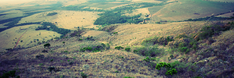 stanleycesar's profile banner image