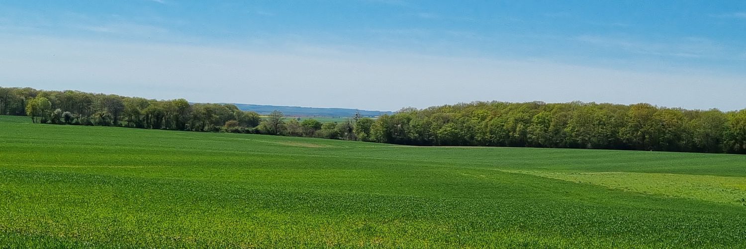 flameee58's profile banner image