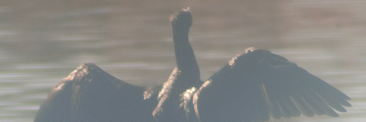 kz1485's profile banner image