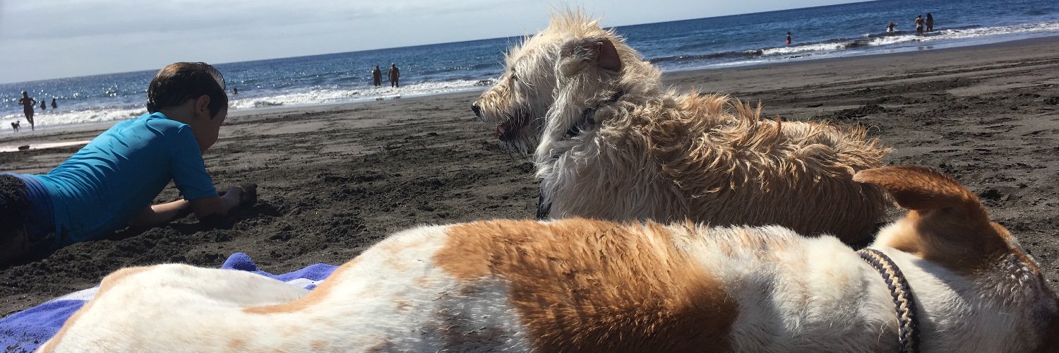 Raquel 🏳️‍🌈 banner