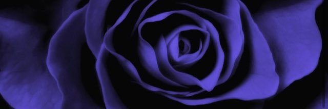 stella_0007's profile banner image