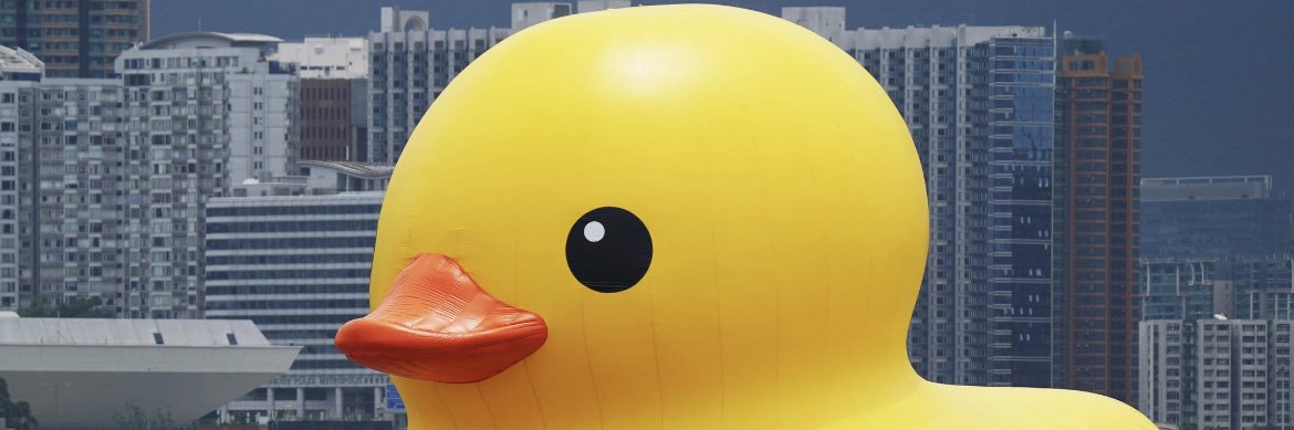 TDWil53's profile banner image