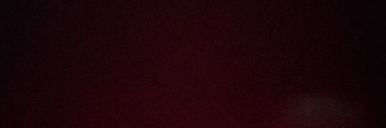 AlaneCostaC's profile banner image