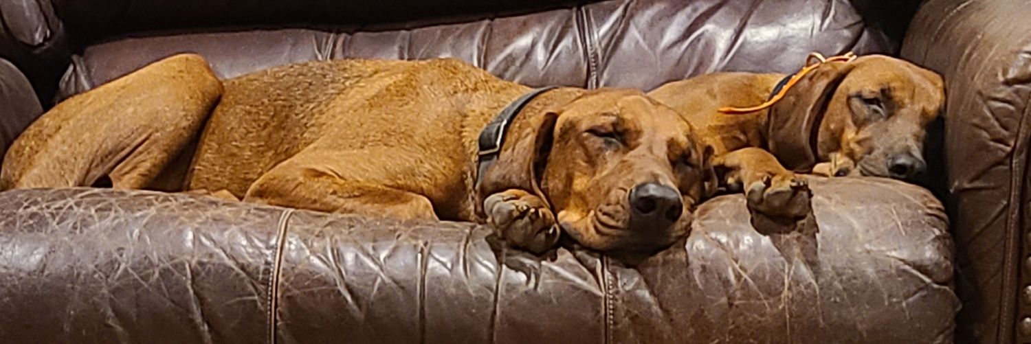hunterarm23's profile banner image
