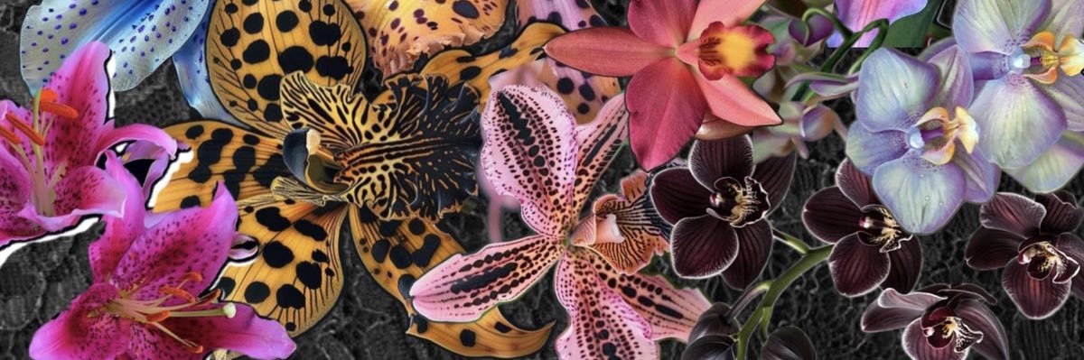 phatttmaaa_'s profile banner image