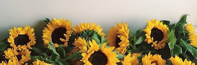 mary_dimond's profile banner image