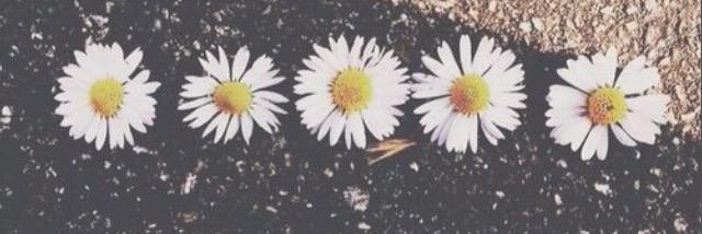 KaylaVance18's profile banner image